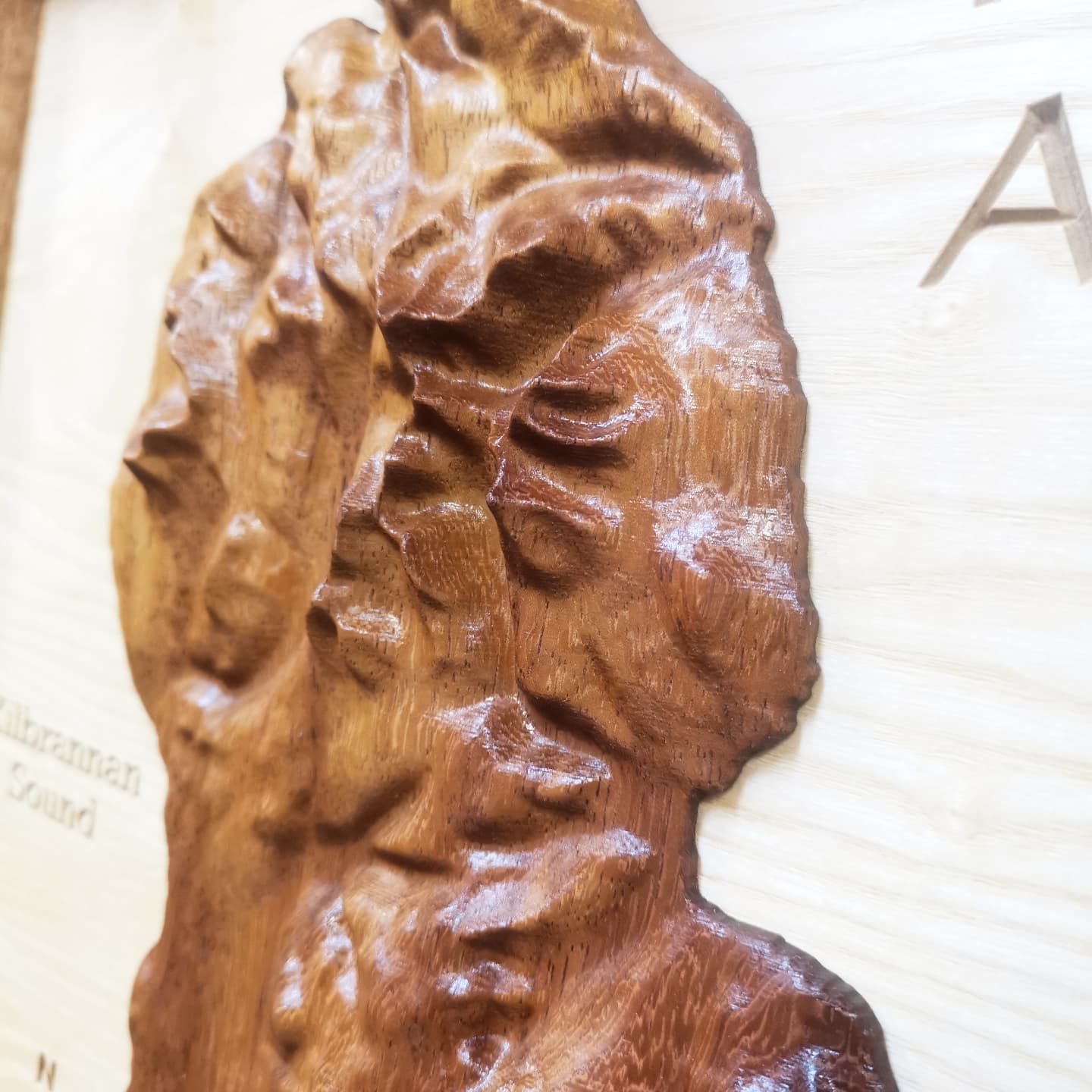 Isle of Arran Topographic map